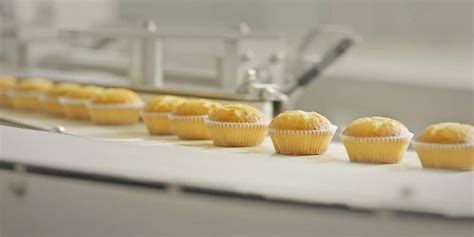dragonworld enterprises, incorporated - lemon square photos|Dragonworld Enterprises Inc .